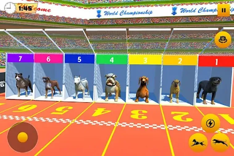 Cách Chơi Game Nhanh Đua Chó Tại Goal123 Thắng Đỉnh Cao 2 Cách Chơi Game Nhanh Đua Chó Tại Goal123 Thắng Đỉnh Cao