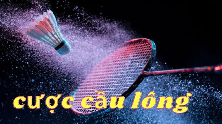 Cách Chơi Cá Cược Cầu Lông Tại Goal123 Thành Công Mỗi Ngày