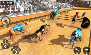 Cách Chơi Game Nhanh Đua Chó Tại Goal123 Thắng Đỉnh Cao